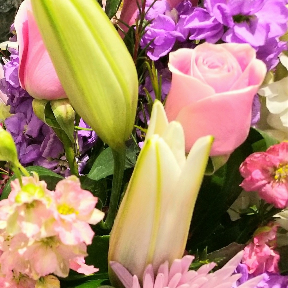 Meet your Posher, Amy